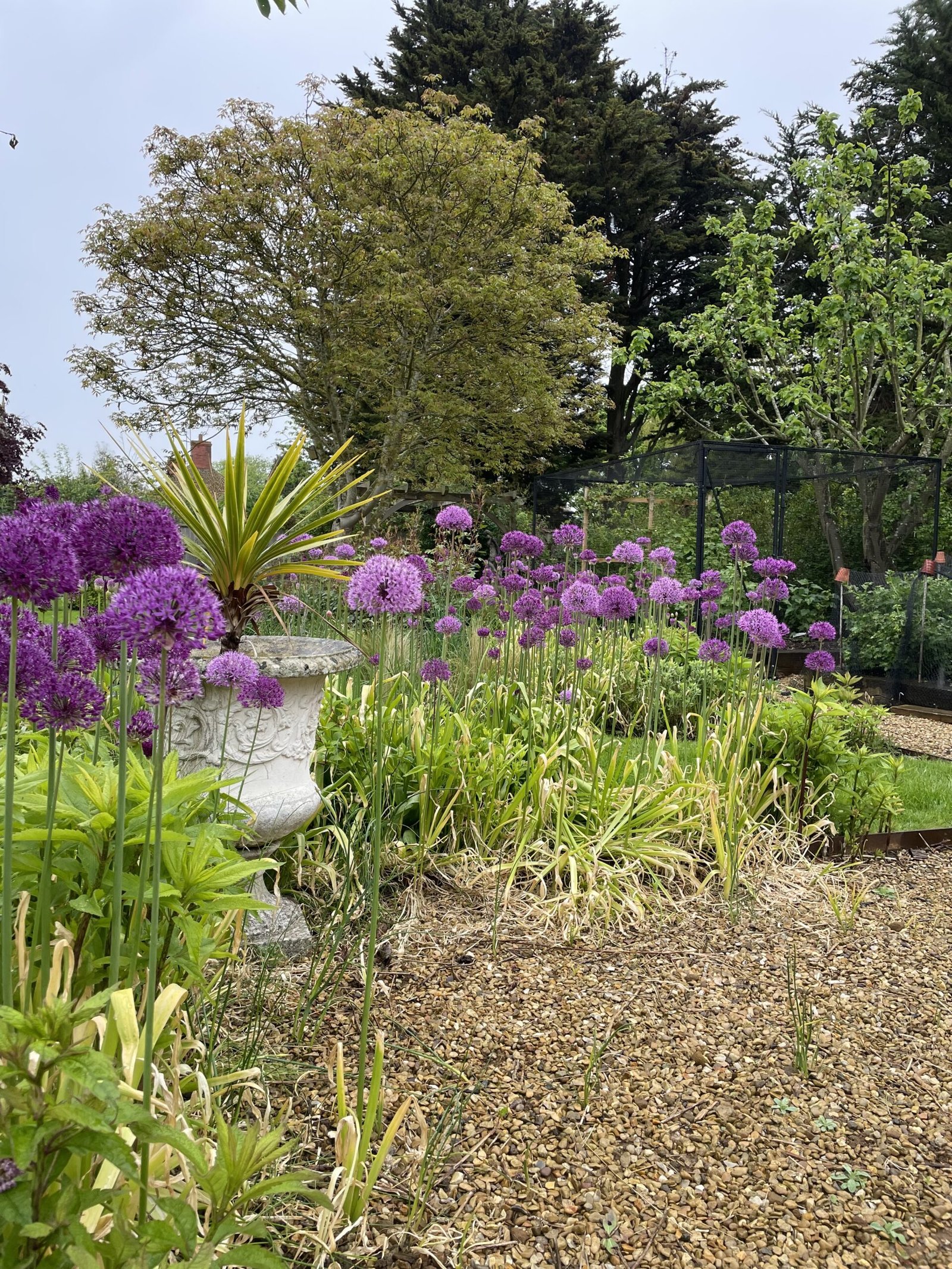 Pennington Gardens - Services - Planting Schemes