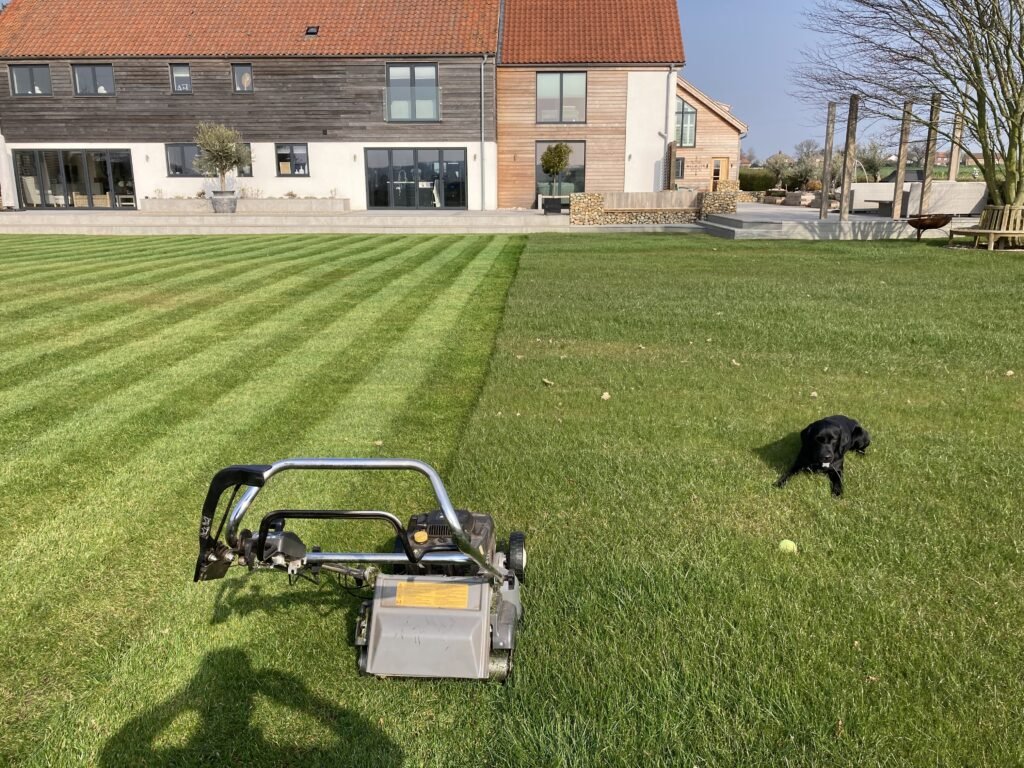 Sedgeford garden - lawn half cut - dog on uncut half