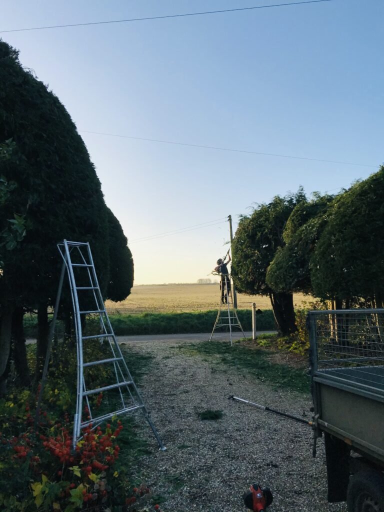 Landscaper and Gardener Burnham Deepdale